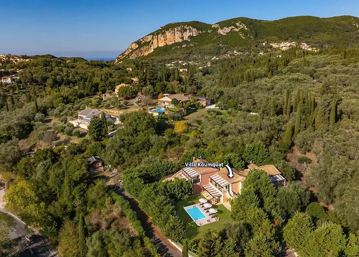 Koumquat By Παλαιοκαστρίτσα